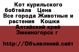 Кот курильского бобтейла › Цена ­ 5 000 - Все города Животные и растения » Кошки   . Алтайский край,Змеиногорск г.